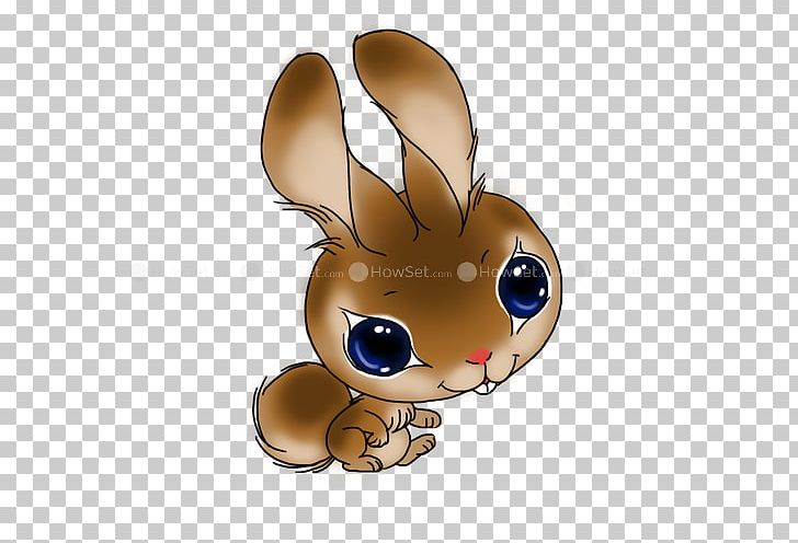 Rabbit Hare Cat Balloon Kitten PNG, Clipart, Android, Animals, Balloon, Black Cat, Canidae Free PNG Download