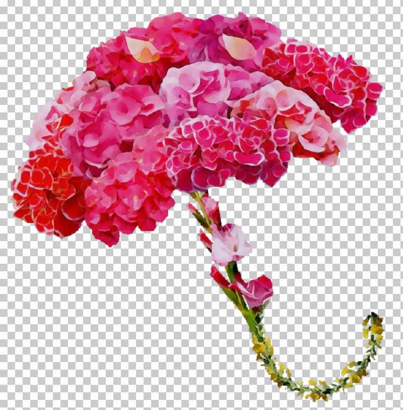 Rose PNG, Clipart, Carnation, Color, Cut Flowers, Flower, Hydrangea Free PNG Download