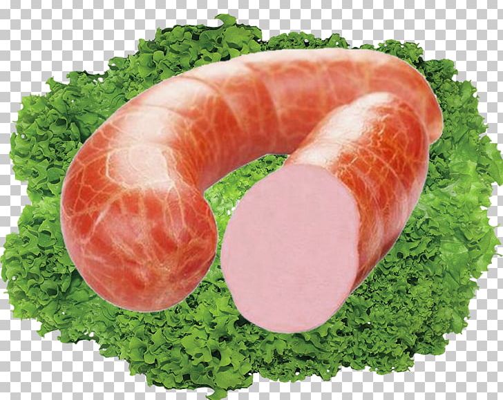 Bratwurst Sausage Hot Dog Ham Bacon PNG, Clipart, Animal Source Foods, Bratwurst, Cooking, Dogs, Dogs Vector Free PNG Download