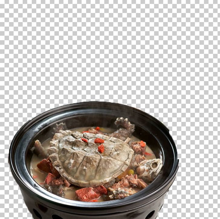 Crocodile Alligator Snapping Turtle Chinese Alligator Shark Fin Soup PNG, Clipart, Alligator Snapping Turtle, Alligator Turtle, Animals, Animal Source Foods, Asian Food Free PNG Download
