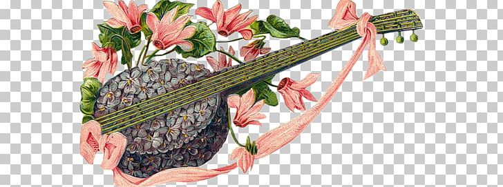 Nova Linea Flower Musical Instruments PNG, Clipart, Animated Film, Blog, Floral Design, Flower, Flowering Plant Free PNG Download
