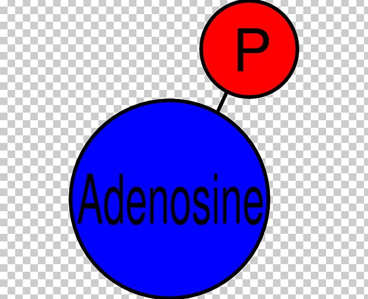 Adenosine Diphosphate Adenosine Triphosphate Pyrophosphate PNG, Clipart, Adenosine, Adenosine Diphosphate, Adenosine Triphosphate, Area, Brand Free PNG Download