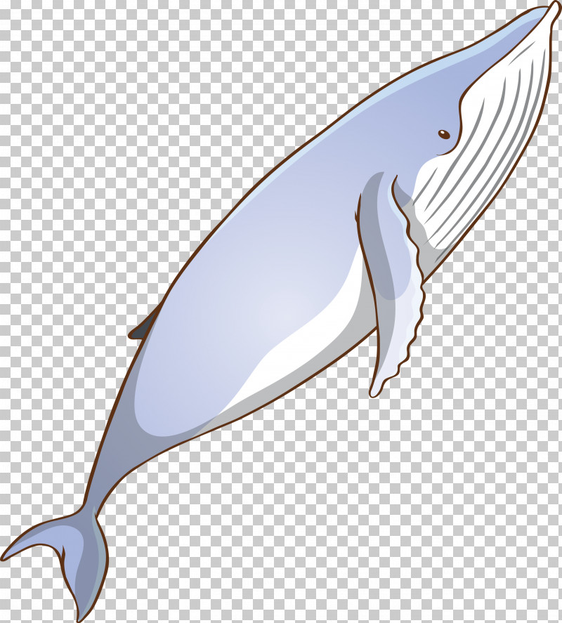 Bottlenose Dolphin Fin Blue Whale Cetacea Dolphin PNG, Clipart, Blue Whale, Bottlenose Dolphin, Cetacea, Common Dolphins, Dolphin Free PNG Download