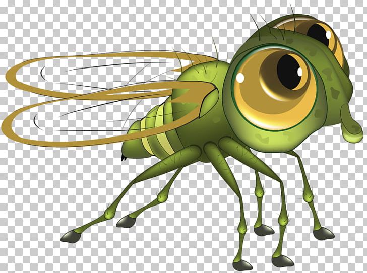 Fly Honey Bee PNG, Clipart, Arthropod, Bee, Cartoon, Cricket Like Insect, Depositphotos Free PNG Download