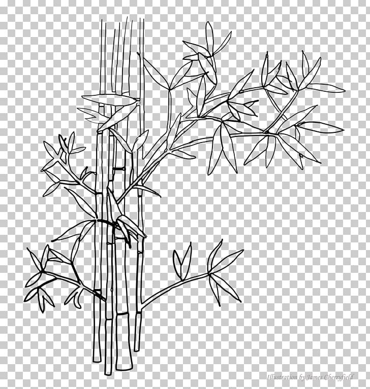 Line Art Drawing Digital Art PNG, Clipart, Angle, Art, Artwork, Bamboo Painting, Black And White Free PNG Download