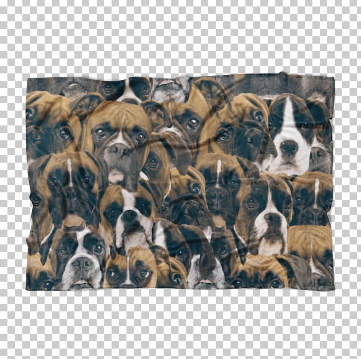Dog Breed Snout Crossbreed PNG, Clipart, Animals, Boxer At Rest, Breed, Carnivoran, Crossbreed Free PNG Download