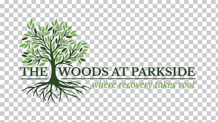 The Woods At Parkside Healing Environments Substance Dependence Hospital Disease PNG, Clipart, Addiction, Alcoholism, Brand, Cambridge Behavioral Hospital, Disease Free PNG Download