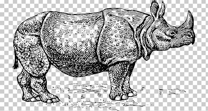 Black Rhinoceros Silhouette PNG, Clipart, Black And White, Cattle Like Mammal, Download, Drawing, Extinction Free PNG Download