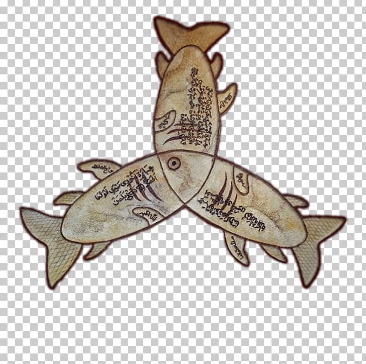 Fauna Fish PNG, Clipart, Fauna, Fish, Others, Seafood, Sufi Free PNG Download