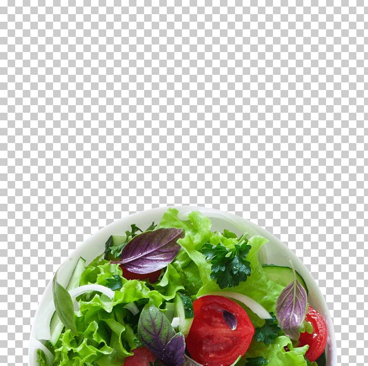 Lettuce Salad Vegetable Vegetarian Cuisine Radish PNG, Clipart, Basil, Bean, Cucumber, Dish, Food Free PNG Download