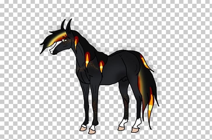 Pony Mustang Foal Stallion Halter PNG, Clipart,  Free PNG Download