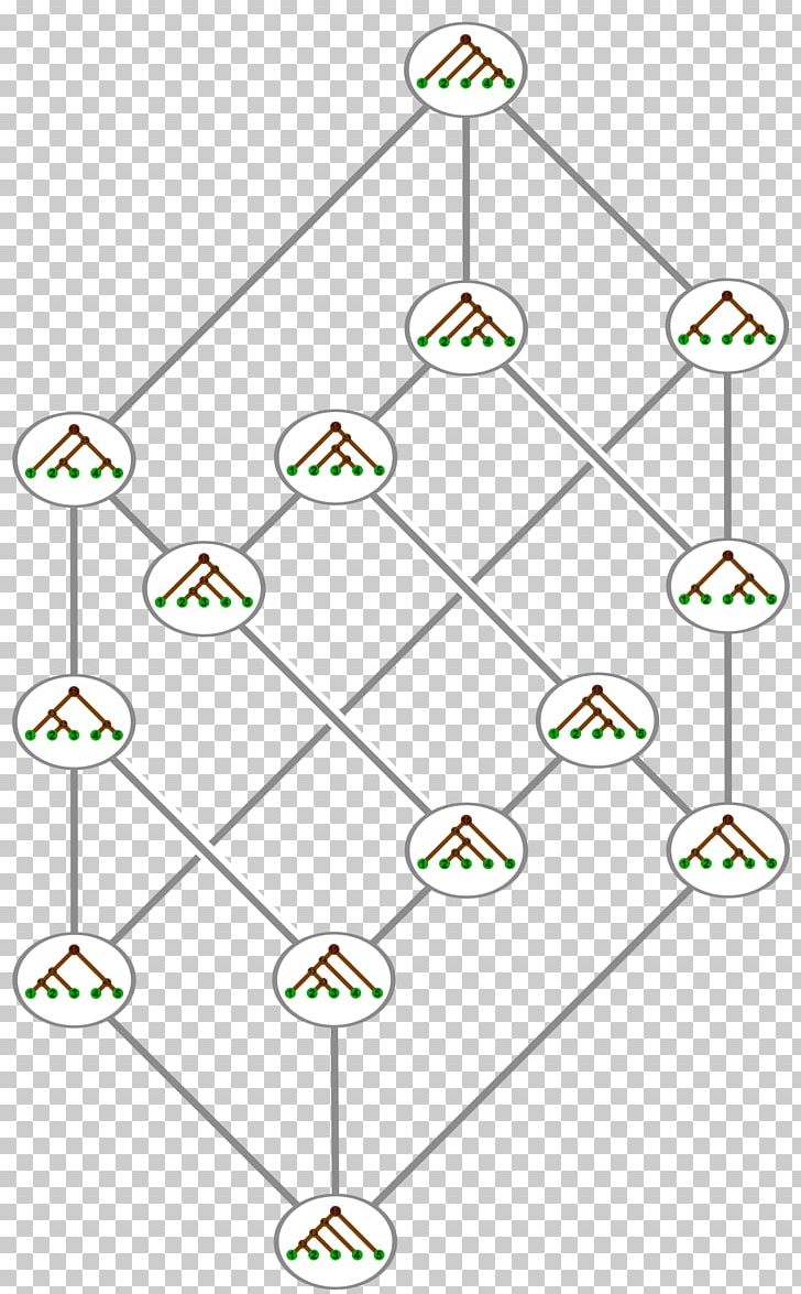 Associahedron Catalan Number Tamari Lattice Binary Tree Hasse Diagram PNG, Clipart, Angle, Area, Associahedron, Binary, Binary Option Free PNG Download