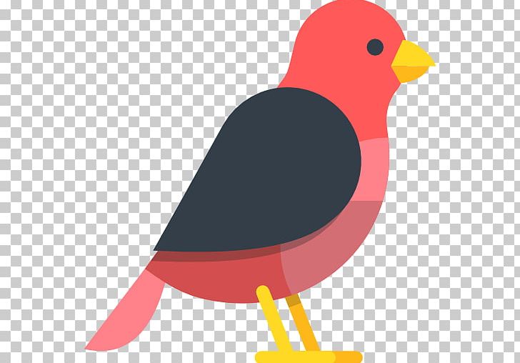 Bird Finch Computer Icons PNG, Clipart, Animal, Animals, Beak, Bird, Computer Icons Free PNG Download
