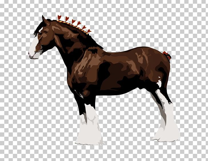 Clydesdale Horse The Percheron Italian Heavy Draft Shire Horse PNG, Clipart, Breyer Animal Creations, Budweiser Clydesdales, Clydesdale Horse, Clydesdale Horse The, Draft Horse Free PNG Download