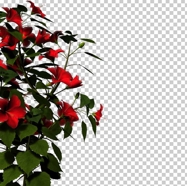 Display Resolution High-definition Television High-definition Video PNG, Clipart, 1080p, Branch, Display Resolution, Download, Flora Free PNG Download