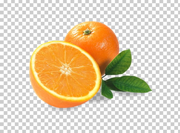 Orange Juice Smoothie Lemon Bitter Orange PNG, Clipart, Blood Orange, Chenpi, Citric Acid, Citron, Citrus Free PNG Download
