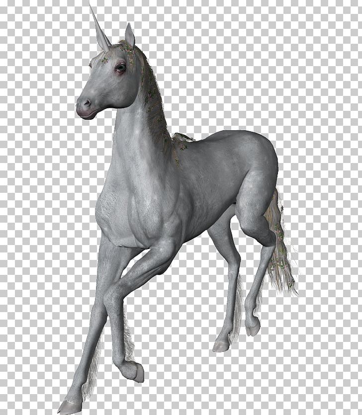 Unicorn Stallion Mustang Foal Horn PNG, Clipart,  Free PNG Download