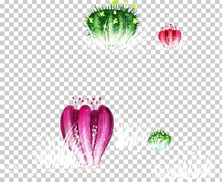 Cartoon Cactaceae PNG, Clipart, Cactus, Cartoon Couple, Cartoon Eyes, Computer Wallpaper, Download Free PNG Download