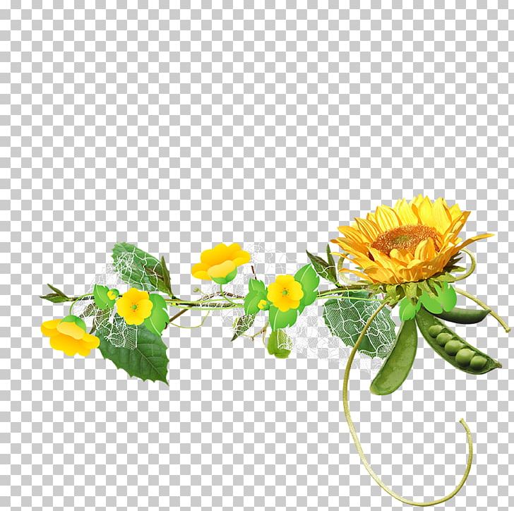 Common Sunflower Euclidean PNG, Clipart, Art, Daisy Family, Flower, Flower Arranging, Flowers Free PNG Download