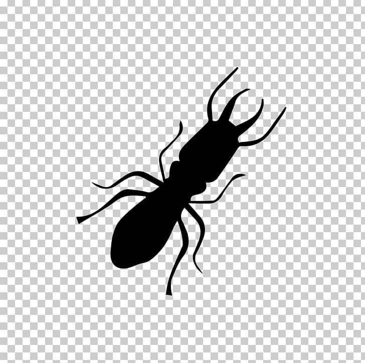 Insect Sentricon Termite Pest Ant PNG, Clipart, Animal, Animals, Ant Colony, Argentine Ant, Arthropod Free PNG Download