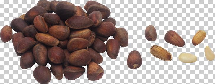Pine Nut Nuts Hazelnut Honey PNG, Clipart, Almond, Cashew, Chestnut, Cocoa Bean, Commodity Free PNG Download