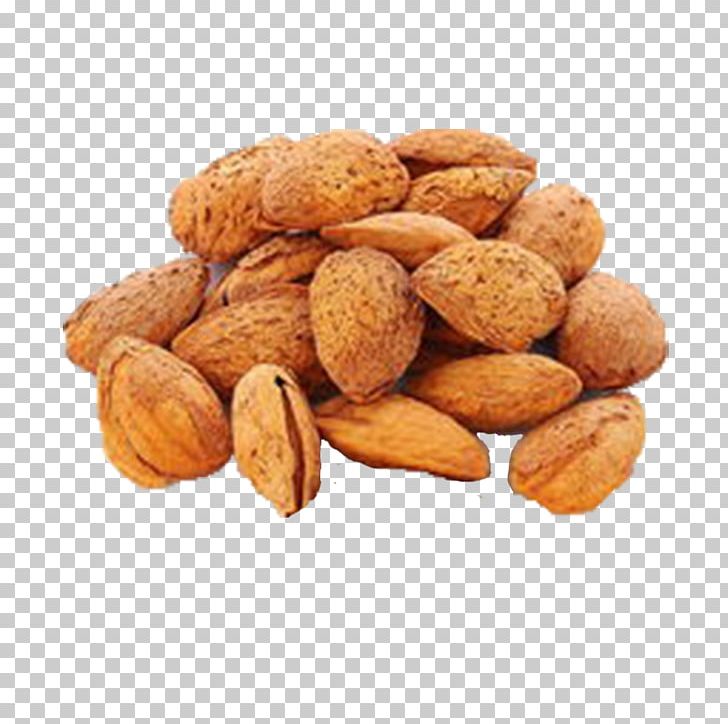 Apricot Kernel Almond Food Peel Candied Fruit PNG, Clipart, Almond Butter, Almond Nut, Apricot Kernel, Dried Fruit, Filling Free PNG Download