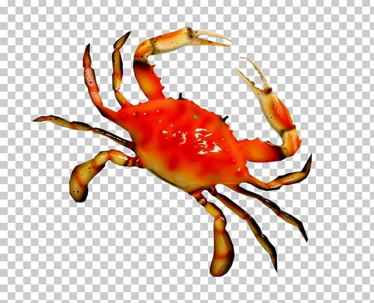 Chesapeake Blue Crab Beach Wall Decal PNG, Clipart, Animals, Animal Source Foods, Arthropod, Bathroom, Beach Free PNG Download