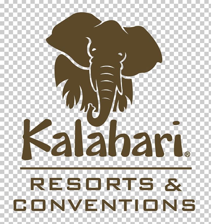 Kalahari Resorts Dells Wisconsin Dells Kalahari Resorts Sandusky PNG, Clipart, African Elephant, Amusement Park, Black And White, Brand, Business Free PNG Download