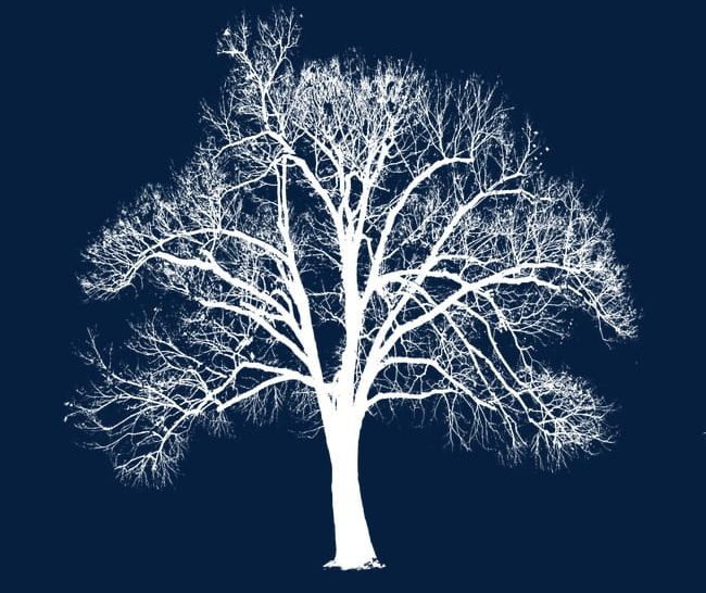 Snow White Withered Tree PNG, Clipart, Abstract, Backgrounds, Bare Tree, Black Color, Blue Free PNG Download
