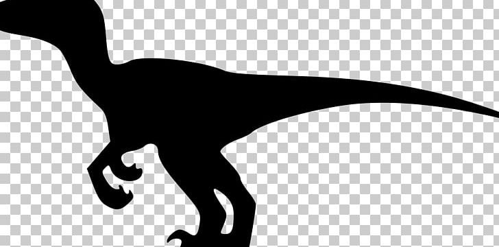 Velociraptor Dinosaur Tyrannosaurus Brachiosaurus PNG, Clipart, Art, Beak, Black And White, Brachiosaurus, Clip Art Free PNG Download