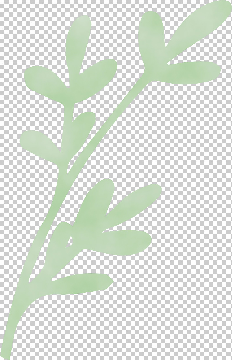 Leaf Plant Stem Flower Font Meter PNG, Clipart, Biology, Flower, Leaf, Meter, Paint Free PNG Download