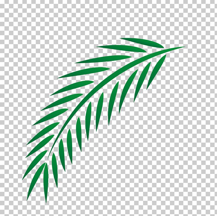 Leaf Euclidean PNG, Clipart, Angle, Artistic Background, Beach, Blessed, Branch Free PNG Download