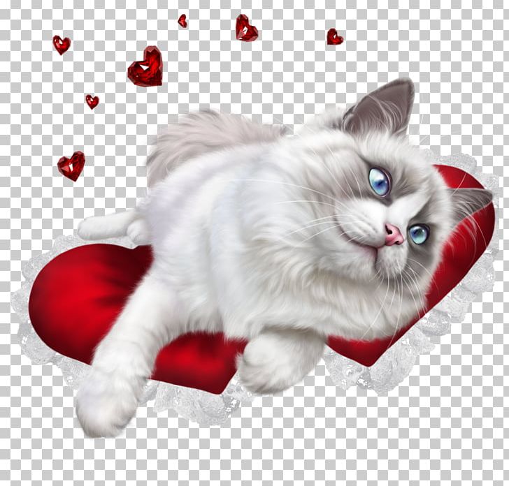 Persian Cat Ragdoll Kitten British Shorthair Aegean Cat PNG, Clipart, Animal, Animals, Carnivoran, Cat, Cat Food Free PNG Download