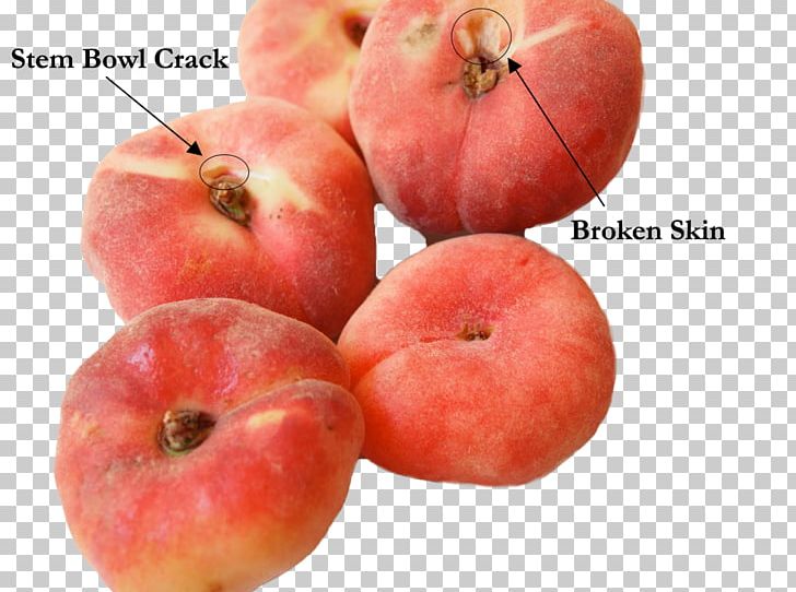 Food Saturn Peach Fruit Raspberry PNG, Clipart, Accessory Fruit, Apple, Clerk, Diet Food, Donut Free PNG Download