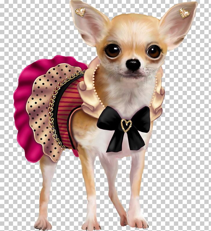 Puppy Chihuahua French Bulldog PNG, Clipart, Animal, Animals, Bulldog Clip, Carnivoran, Chihuahua Free PNG Download