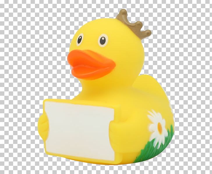 Rubber Duck Aix Bathtub Material PNG, Clipart, Aix, Animals, Artikel, Bathtub, Beak Free PNG Download