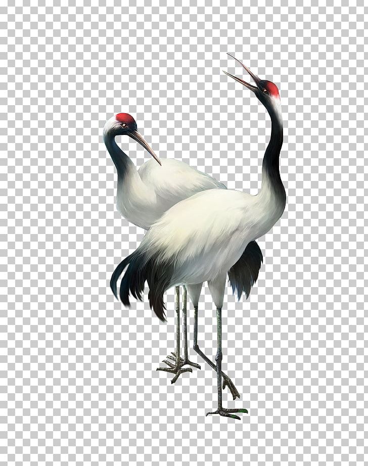 Bailu Red-crowned Crane PNG, Clipart, Animal, Art, Autumn, Beak, Bird Free PNG Download