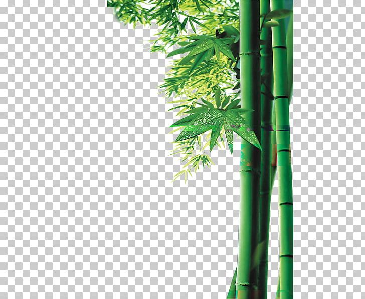 Bamboo Bamboe Computer File PNG, Clipart, Bamboe, Bamboo, Bamboo Border, Bamboo Frame, Bamboo Leaf Free PNG Download