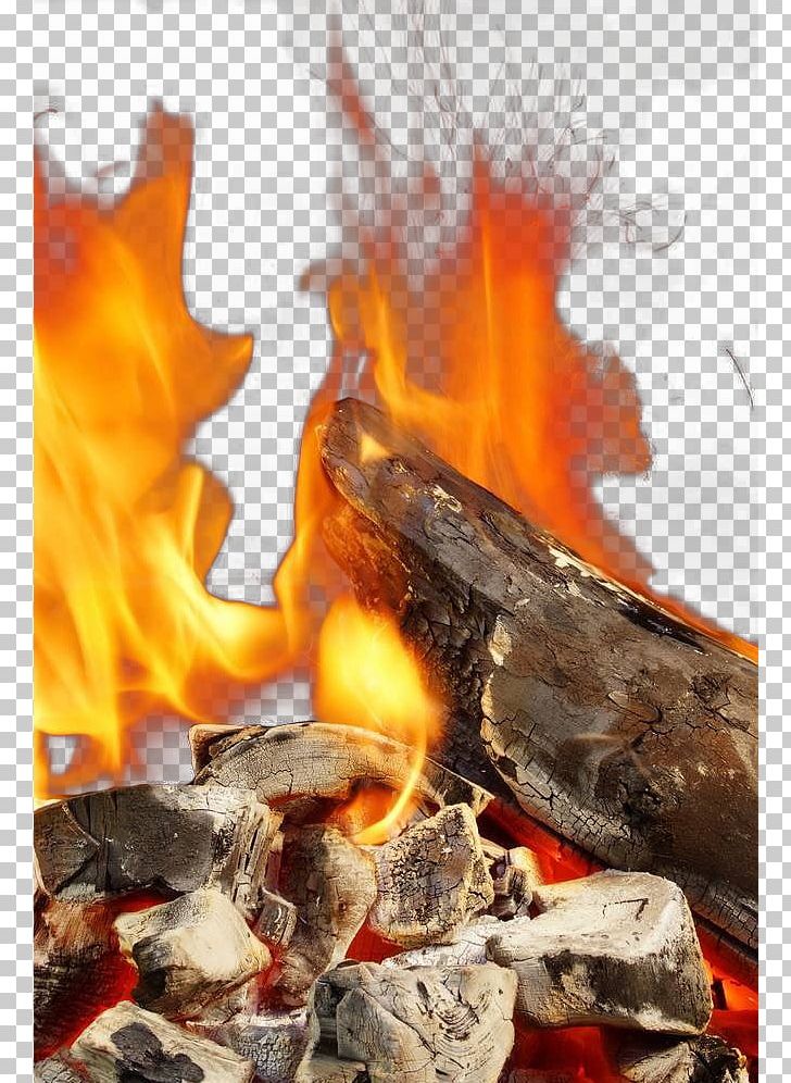 Fire Flame PNG, Clipart, Abstract, Adobe Illustrator, Animal Source Foods, Charcoal, Encapsulated Postscript Free PNG Download