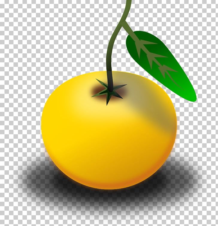 Orange Juice PNG, Clipart, Apple, Citrus, Computer Icons, Food, Fruit Free PNG Download