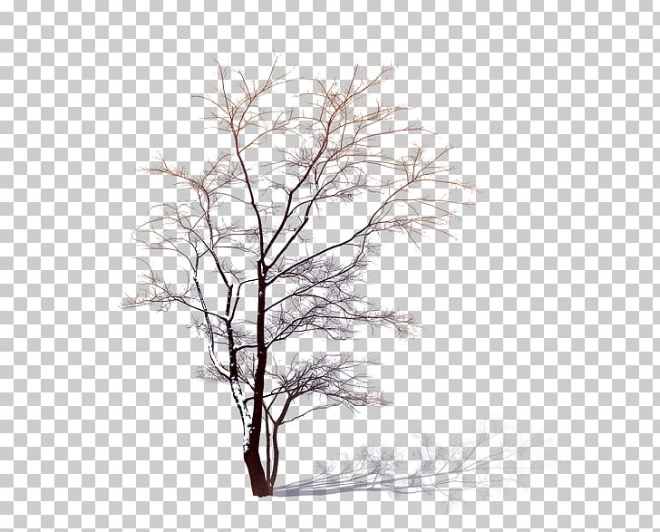 Tree PNG, Clipart, Animation, Black And White, Branch, Decorative Patterns, Design Free PNG Download