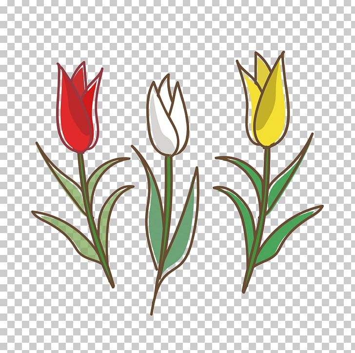 Tulip White Flower Yellow Graphics PNG, Clipart, Color, Cut Flowers, Flower, Flowering Plant, Greeting Note Cards Free PNG Download