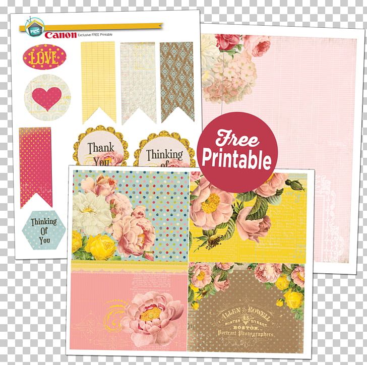 Paper Greeting & Note Cards Bird Frames Shabby Chic PNG, Clipart, Animals, Bird, France, French, French People Free PNG Download