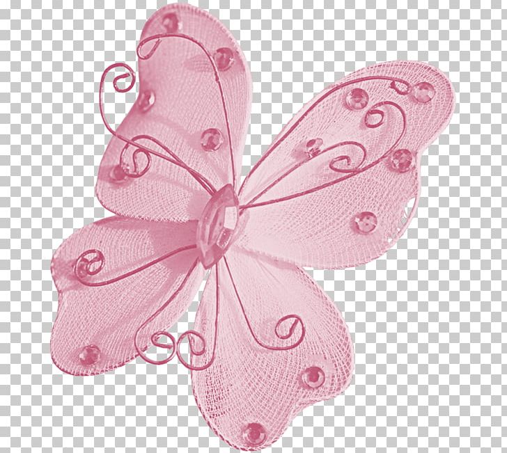 Coton De Tulear Butterflies And Moths Chihuahua Elevage Du Royaume D'Odin PNG, Clipart, Butterflies And Moths, Butterfly, Chihuahua, Coton De Tulear, Creation Free PNG Download