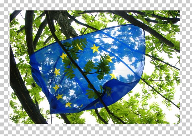 European Union France Development And Dystopia: Studies In Post-Soviet Ukraine And Eastern Europe United Kingdom Politics PNG, Clipart, Branch, Brexit, Citizenship Of The European Union, Common Agricultural Policy, Europe Free PNG Download