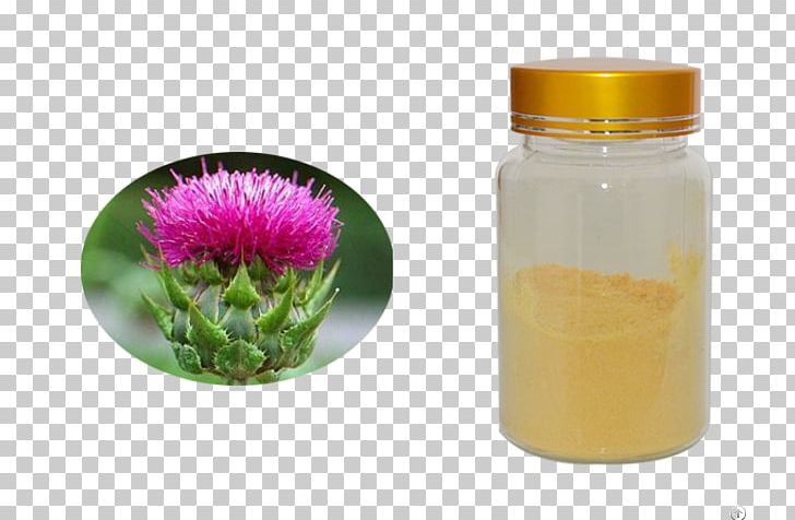 Glass Bottle Flower Milk Thistle PNG, Clipart, Bottle, Extract, Flower, Glass, Glass Bottle Free PNG Download