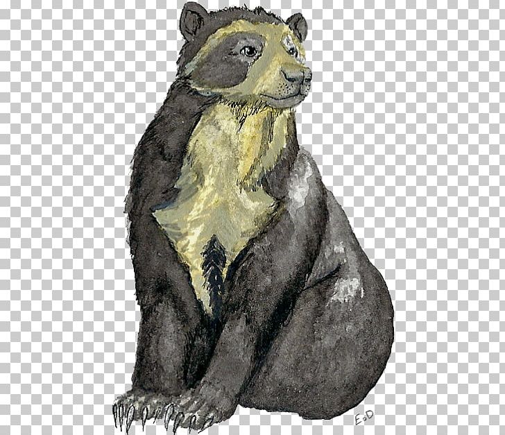 Rodent Mustelids Procyonidae Marmot Carnivora PNG, Clipart, Animal, Bear, Carnivora, Carnivoran, Fauna Free PNG Download