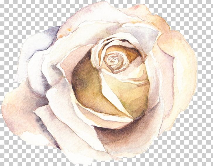 Watercolour Flowers Watercolor Painting PNG, Clipart, Cut Flowers, Designer, Digital Painting, Drawing, Floral Design Free PNG Download