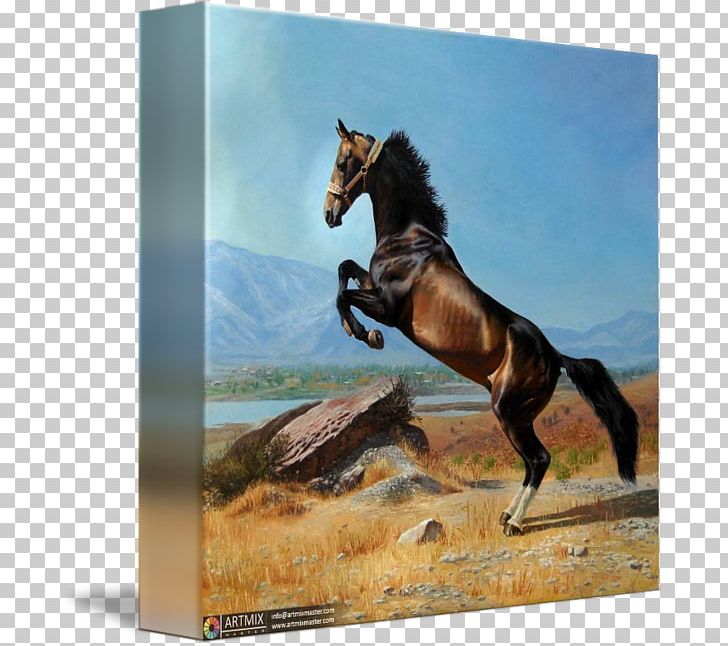 Akhal-Teke Painting Mustang Tashkent PNG, Clipart, Akhalteke, Art, Canvas, Drawing, Equus Free PNG Download