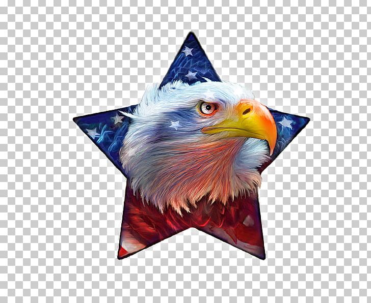 T-shirt American Eagle Outfitters Painting Printing PNG, Clipart, American Eagle Outfitters, Beak, Bird, Bird Of Prey, Canvas Free PNG Download
